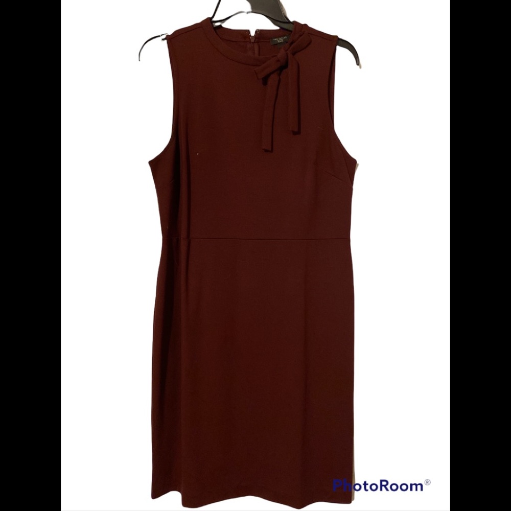 Ann Taylor (12P) Evening/Cocktail Dress